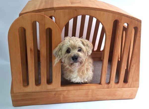 hundebox_mit_hund_2.0_heller.jpg